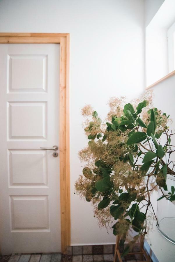 House Of The Golden Horse In Hosszureti Lovas Major Apartment Torokbalint Bagian luar foto