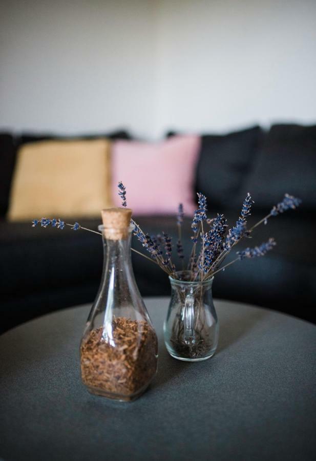 House Of The Golden Horse In Hosszureti Lovas Major Apartment Torokbalint Bagian luar foto
