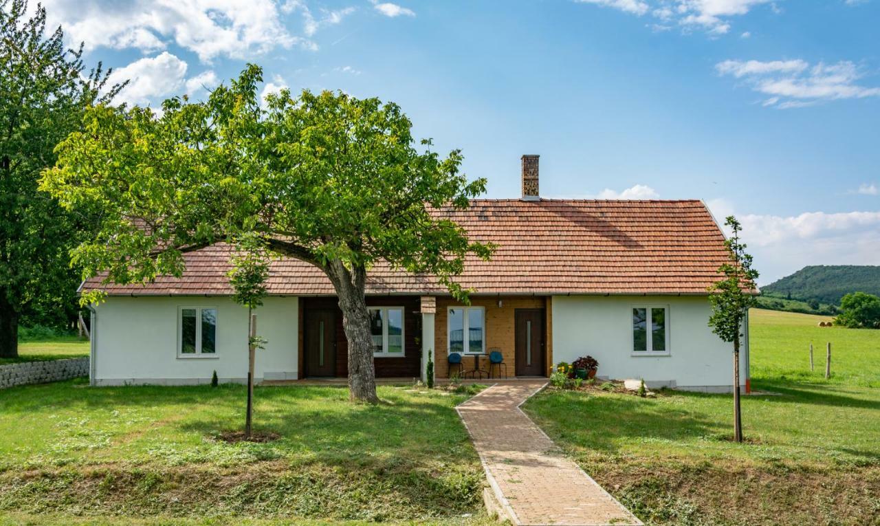 House Of The Golden Horse In Hosszureti Lovas Major Apartment Torokbalint Bagian luar foto